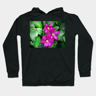 Summer Clematis Hoodie